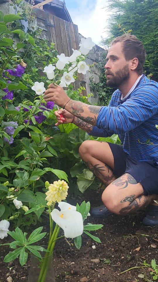 Green Hart Gardening Services founder tending to plants in an Irish garden